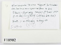 登錄號:F0018902藏品圖，第2張