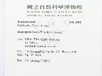 登錄號:F0018902藏品圖，第3張