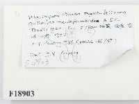 登錄號:F0018903藏品圖，第2張