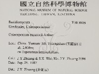 登錄號:F0018905藏品圖，第2張