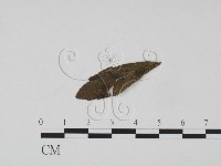 登錄號:F0018905藏品圖，第3張