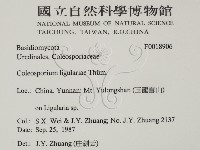 登錄號:F0018906藏品圖，第2張