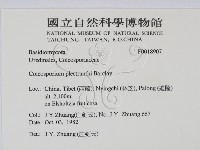登錄號:F0018907藏品圖，第2張