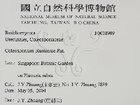 登錄號:F0018909藏品圖，第2張