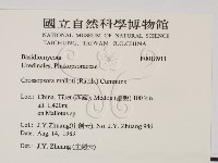 登錄號:F0018911藏品圖，第2張