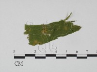 登錄號:F0018911藏品圖，第1張