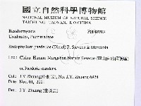 登錄號:F0018913藏品圖，第2張