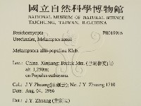 登錄號:F0018916藏品圖，第2張