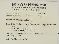 登錄號:F0018917藏品圖，第2張