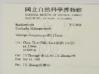 登錄號:F0018918藏品圖，第2張