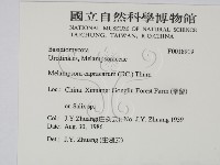 登錄號:F0018919藏品圖，第2張