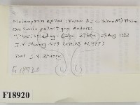 登錄號:F0018920藏品圖，第2張