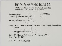 登錄號:F0018922藏品圖，第2張