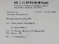 登錄號:F0018923藏品圖，第2張