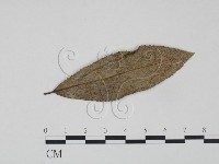 登錄號:F0018923藏品圖，第1張