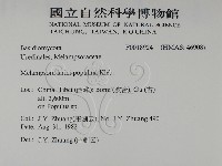 登錄號:F0018924藏品圖，第2張