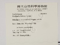 登錄號:F0018925藏品圖，第2張