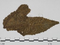 登錄號:F0018926藏品圖，第3張