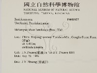 登錄號:F0018927藏品圖，第2張