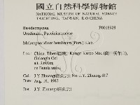 登錄號:F0018928藏品圖，第2張