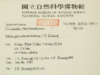 登錄號:F0018929藏品圖，第2張