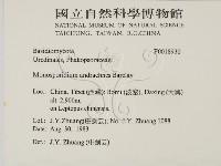 登錄號:F0018930藏品圖，第2張