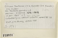 登錄號:F0018931藏品圖，第2張