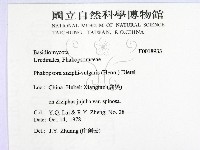 登錄號:F0018933藏品圖，第2張