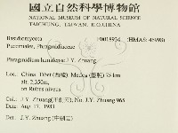登錄號:F0018934藏品圖，第2張
