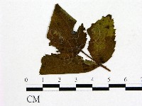 登錄號:F0018934藏品圖，第1張