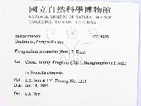 登錄號:F0018935藏品圖，第2張