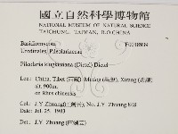 登錄號:F0018939藏品圖，第2張