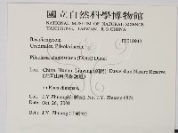 登錄號:F0018940藏品圖，第2張