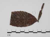登錄號:F0018940藏品圖，第1張