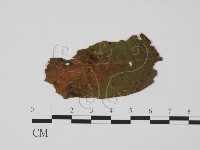 登錄號:F0018941藏品圖，第1張