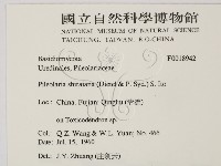 登錄號:F0018942藏品圖，第2張