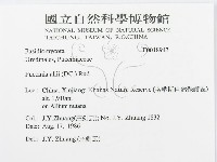 登錄號:F0018943藏品圖，第3張