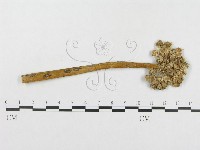 登錄號:F0018943藏品圖，第1張