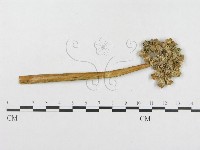 登錄號:F0018943藏品圖，第4張