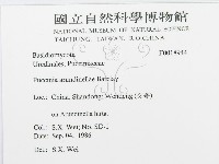 登錄號:F0018944藏品圖，第3張