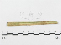 登錄號:F0018944藏品圖，第1張