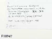 登錄號:F0018947藏品圖，第2張