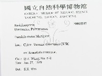 登錄號:F0018947藏品圖，第3張