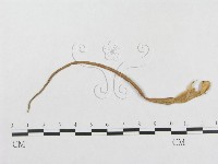 登錄號:F0018947藏品圖，第1張