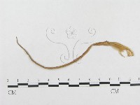 登錄號:F0018947藏品圖，第4張