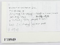 登錄號:F0018949藏品圖，第2張
