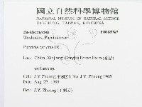 登錄號:F0018949藏品圖，第3張