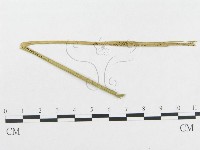 登錄號:F0018949藏品圖，第4張
