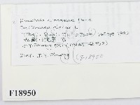 登錄號:F0018950藏品圖，第2張