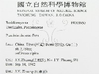登錄號:F0018950藏品圖，第3張